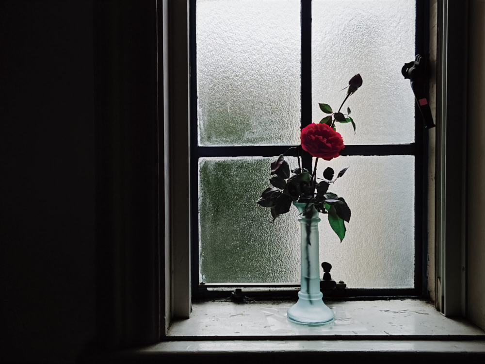 Leitz濾鏡再升級