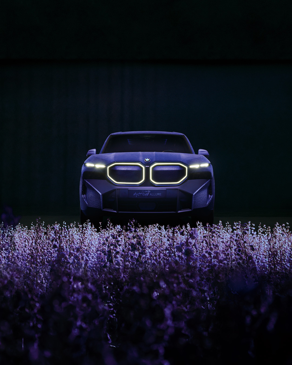 BMW與超級名模Naomi Campbell的最新合作