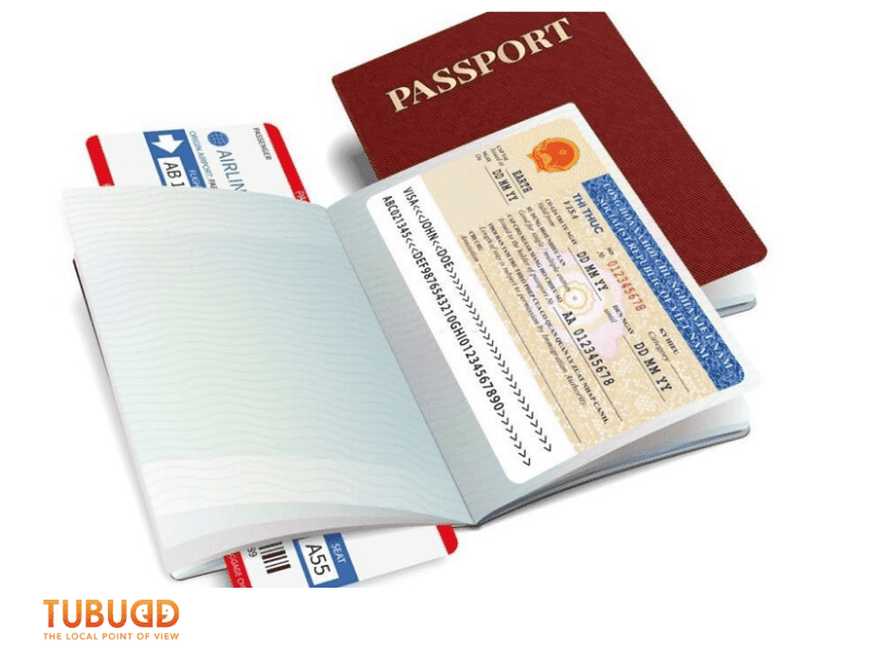 How the Program Works