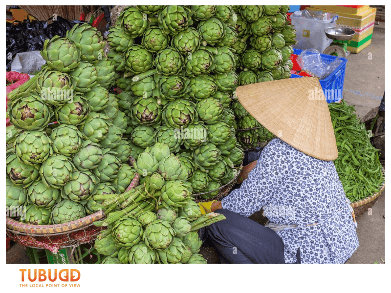 How Artichoke Is Grown in Dalat
