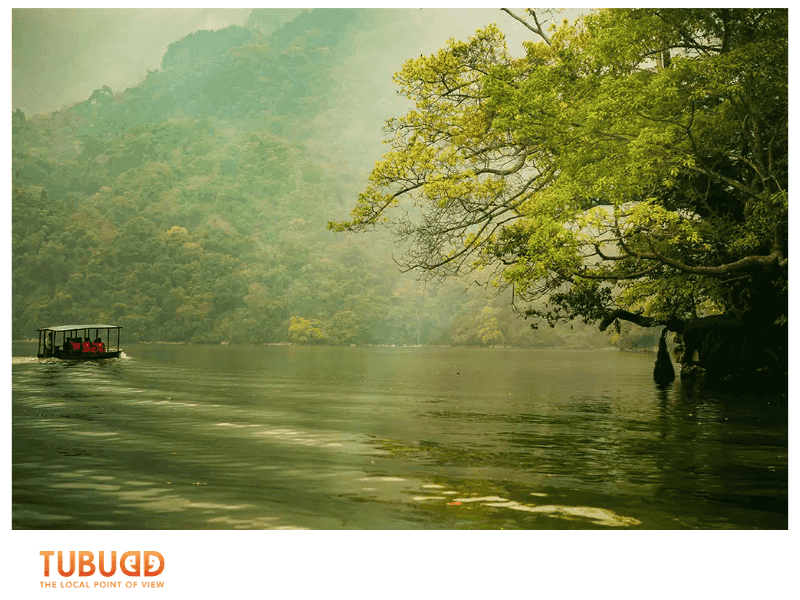 Here’s an in-depth look at what you should dive into during your visit.