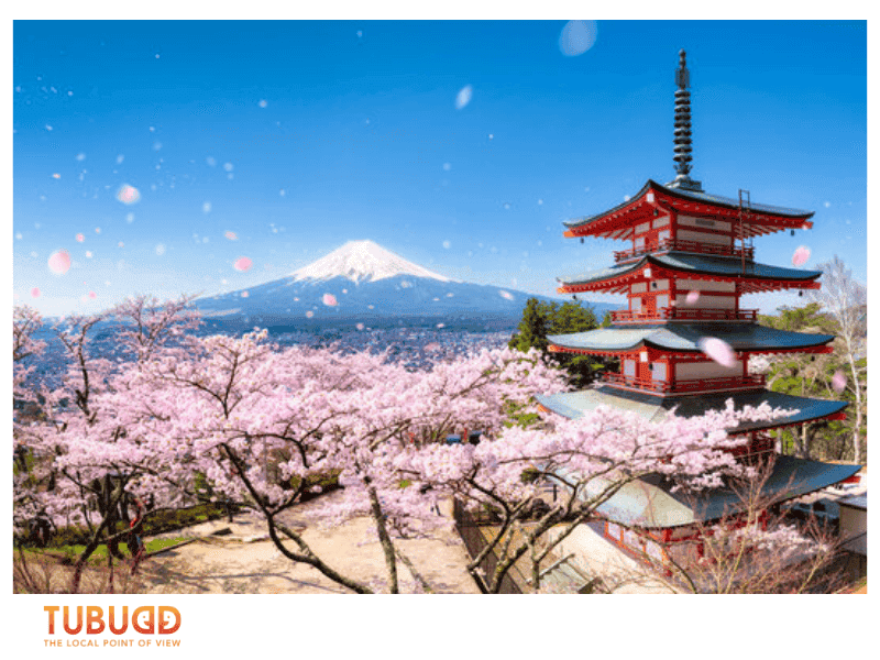 If you're wondering where to go in June, here are some of the best countries to consider for an unforgettable summer vacation.