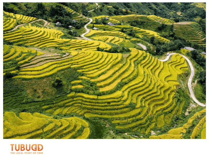 Summer (May – August)