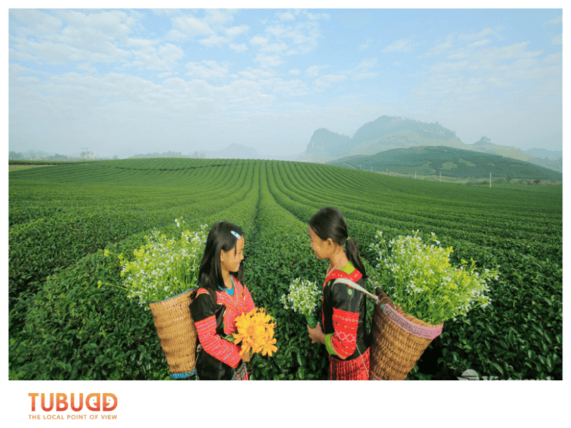 Autumn (September – November)