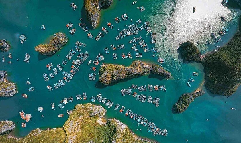 Best Time to Spend 10 Days in Northern Vietnam