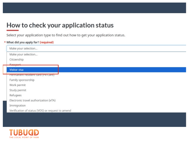  Access the Official Visa Status Portal