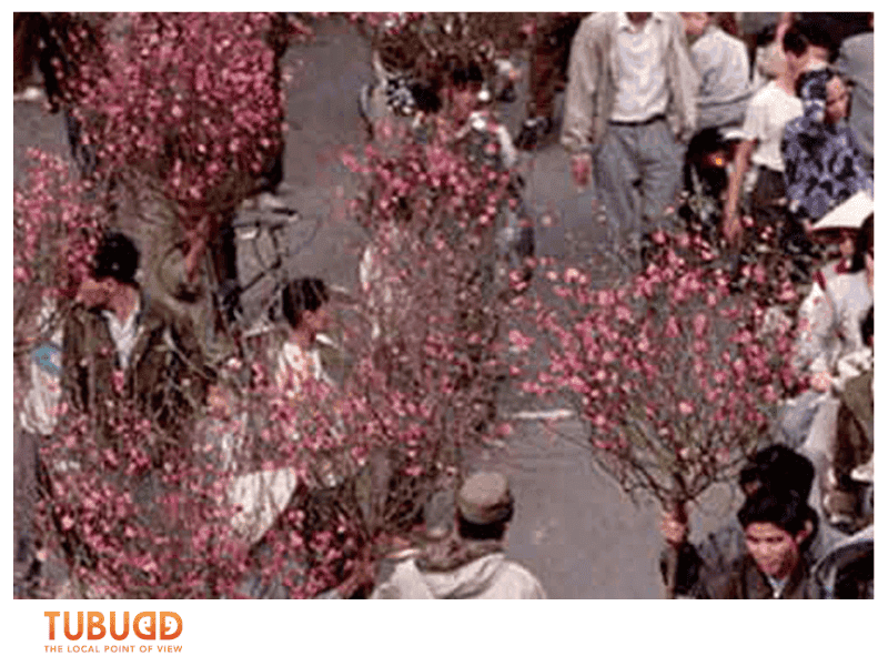 Hang Luoc Flower Market