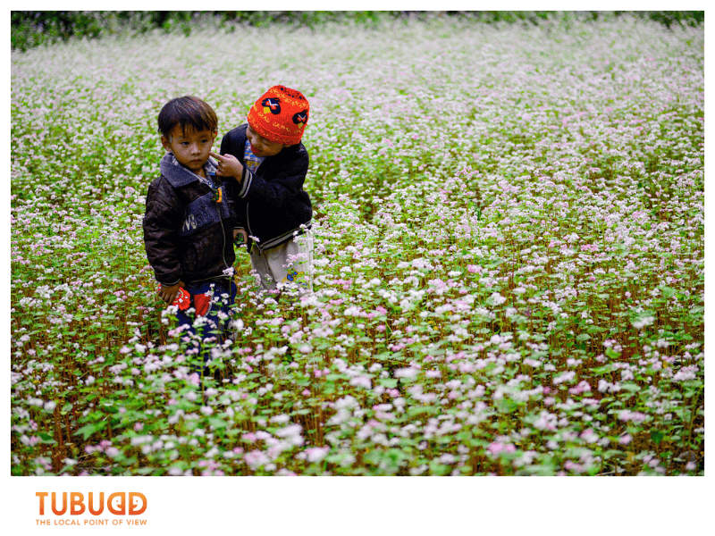 Why October Is the Best Month to Visit Ha Giang