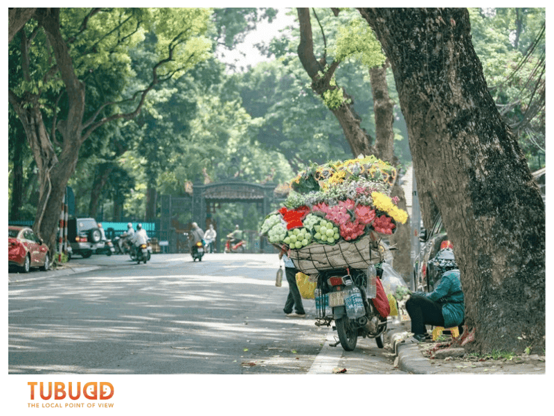What Makes Hanoi Weather March April So Special for Travelers? 