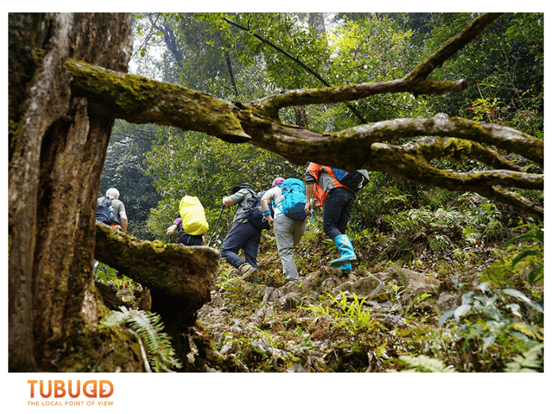 Hoang Lien Son Mountain offers trails for every skill level.