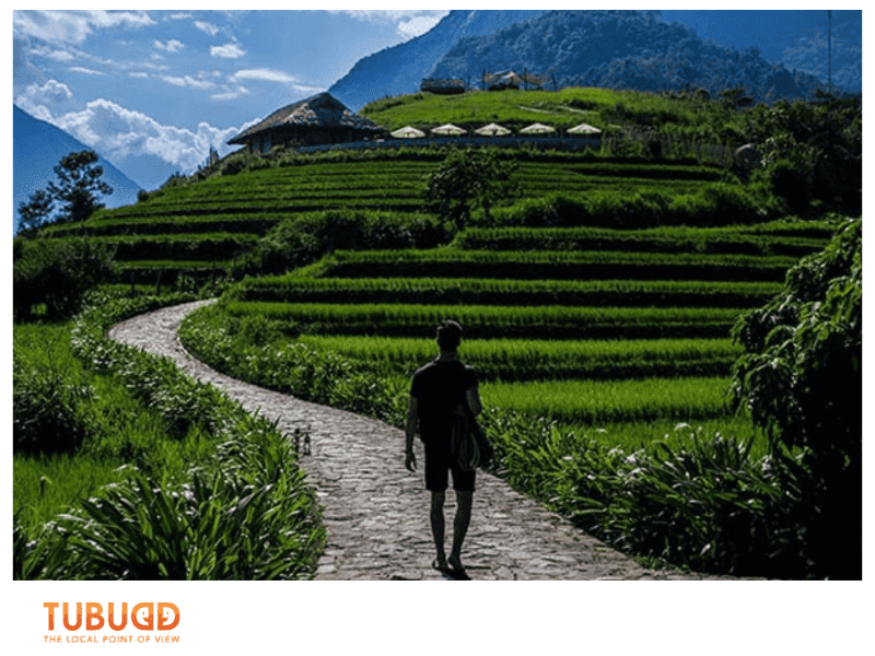 Why Hoang Lien Son Mountain Beckons Trekkers
