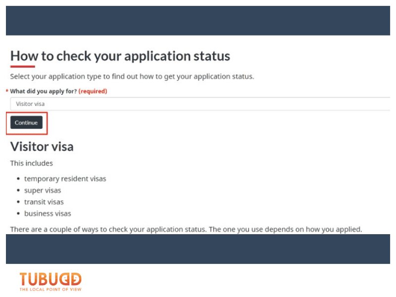 How to Check Visa Processing Status Online