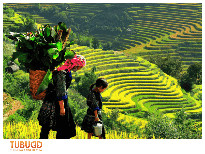 Northern Vietnam in July: Hot, Humid, and Lush