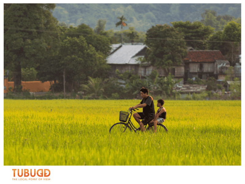 Immersing in White Thai Culture