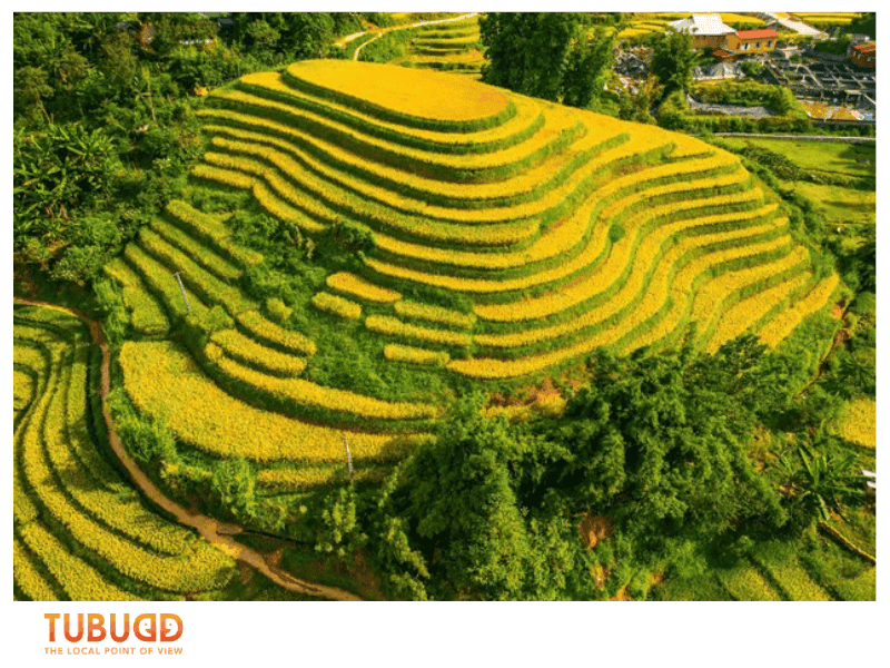 The Enchanting Essence of Muong Hoa Valley