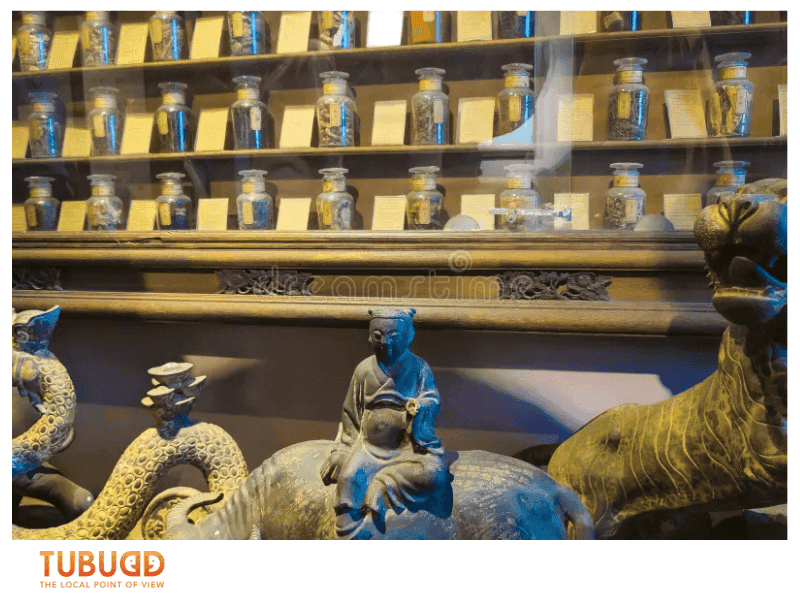 The Healing Heart of the Museum of Traditional Vietnamese Medicine