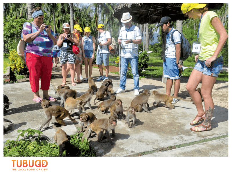 Top Things to Do on Nha Trang Monkey Island