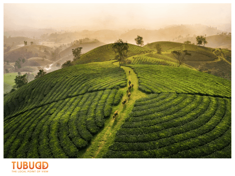 Where Should You Visit in Northern Vietnam During August?