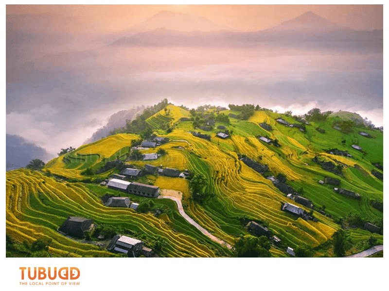 Landscapes in Full Glory: Golden Terraces and Blue Horizons