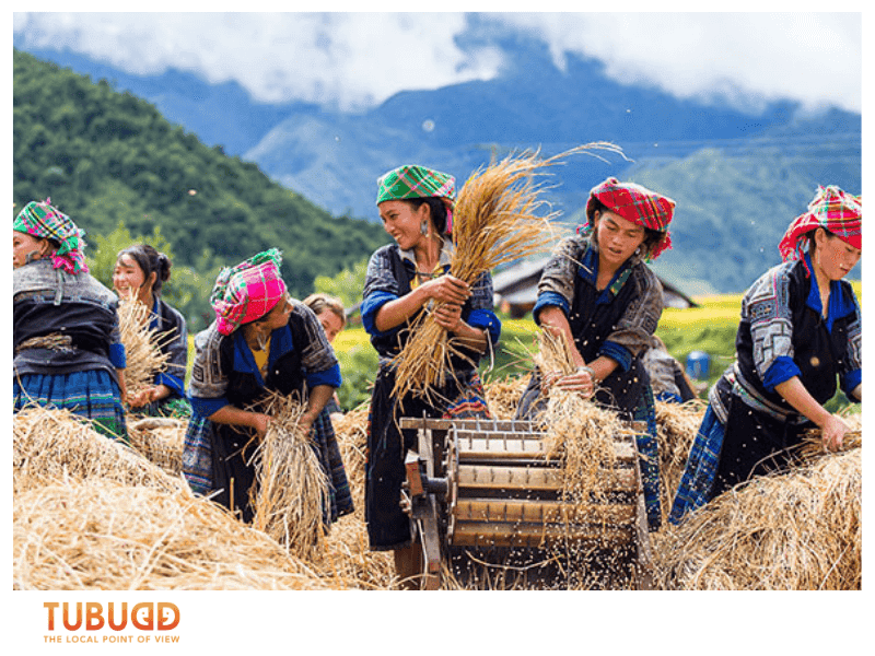 September – October: Golden Fields and Perfect Skies