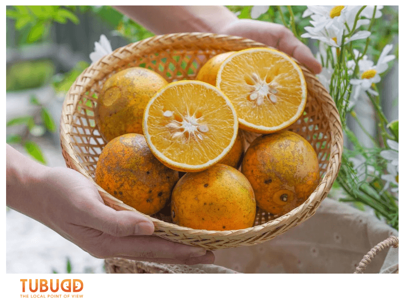 When Orange Season Happens in Vietnam