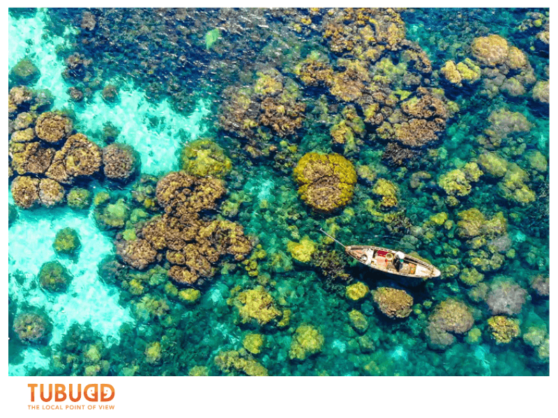 Best Time to Visit Phu Quoc Beach and Why It Matters