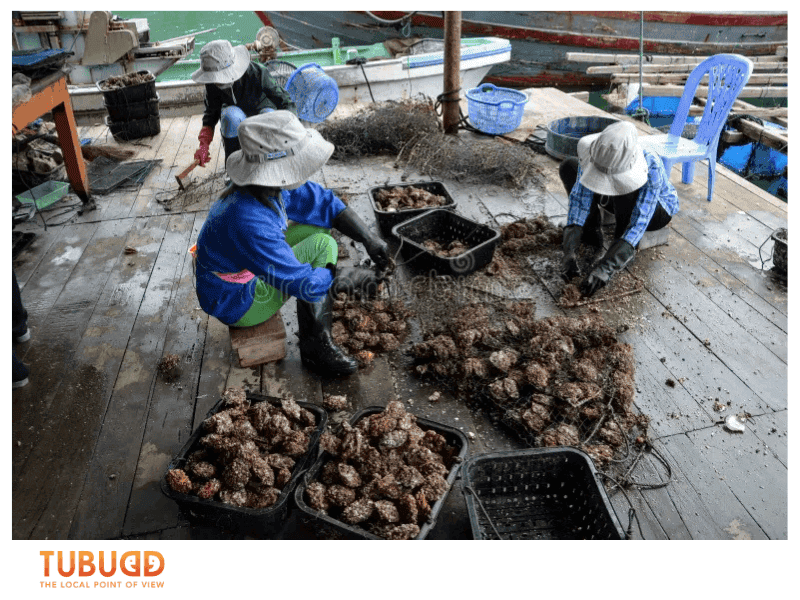 What does Phu Quoc Pearl Farm represent ?