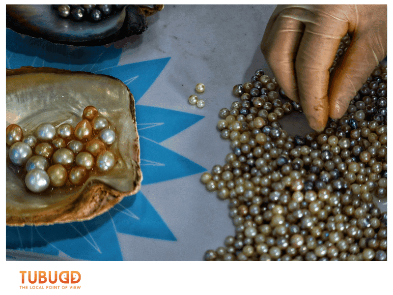What to Experience at Phu Quoc Pearl Farms