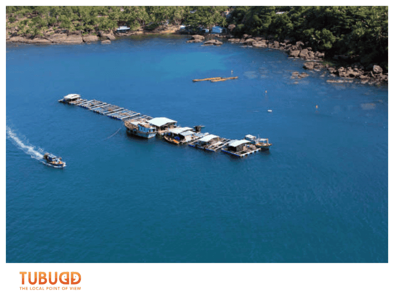 Tips for a Perfect Phu Quoc Pearl Farm Visit