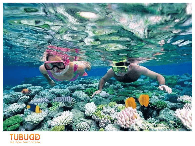 Top Coral Reefs and Island Tours for Snorkeling