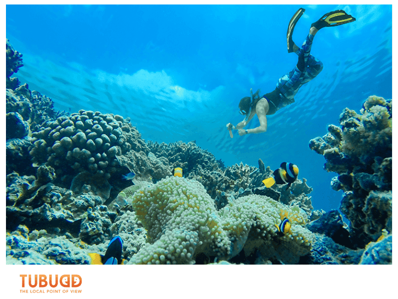 Why Phu Quoc Snorkeling is a Must-Do
