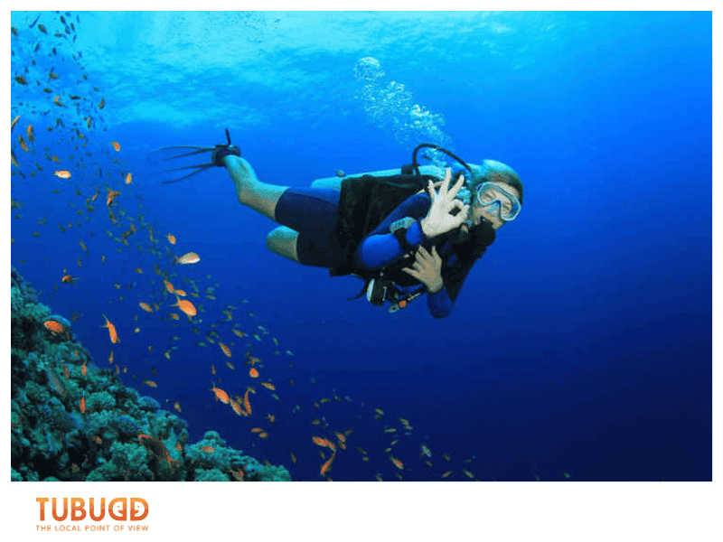 Maximizing Your Phu Quoc Snorkeling Experience