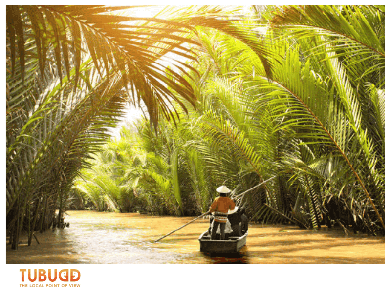 The Waterways of the Mekong Delta