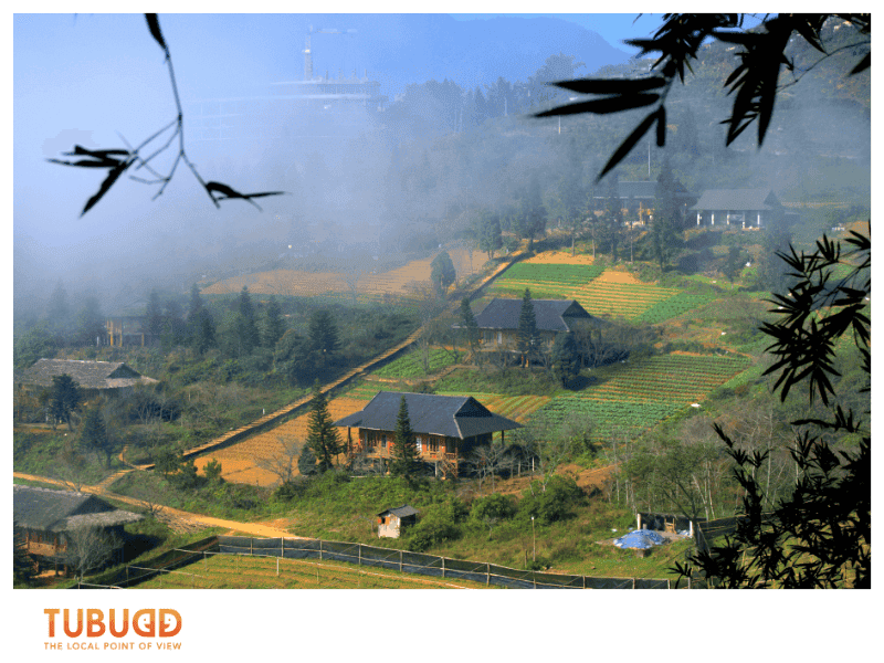 The Climate and Atmosphere