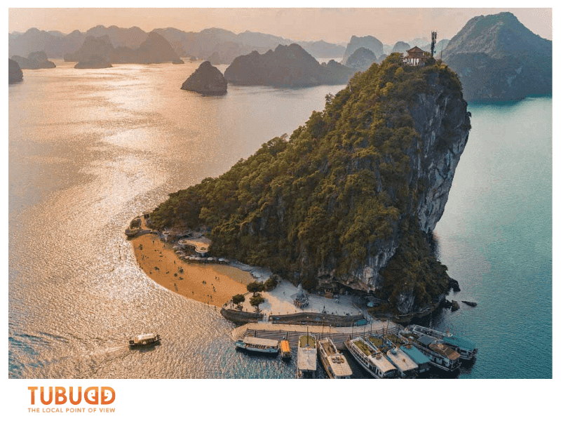 What Makes Tip Top Island Special