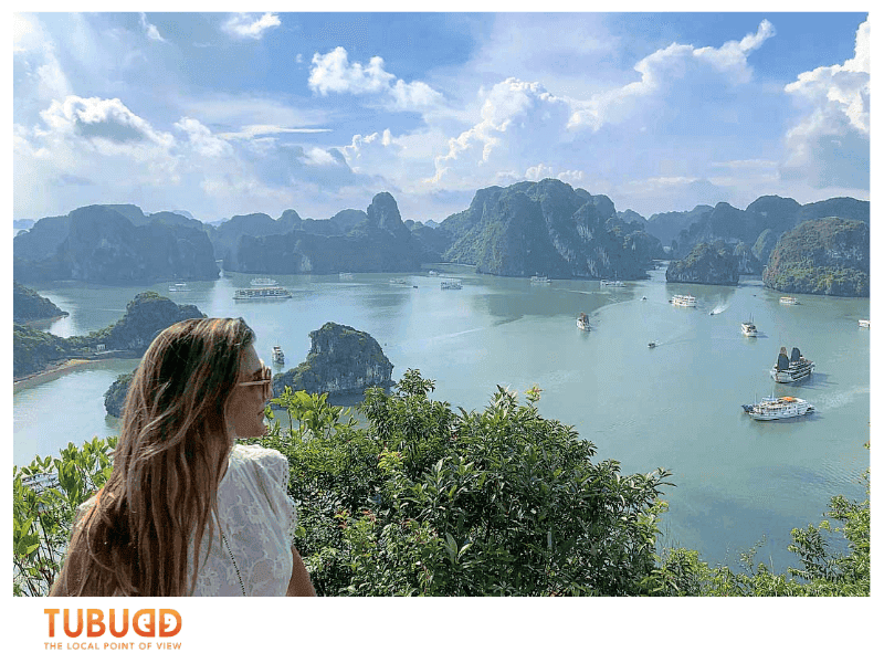 How to Get to Tip Top Island