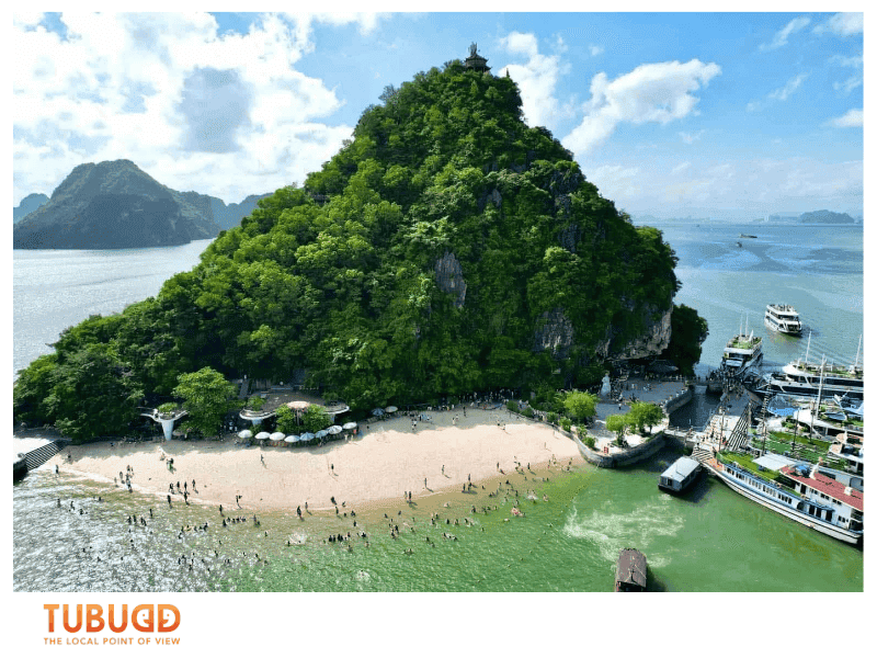 What to Do on Tip Top Island