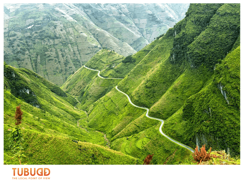 Why Northern Vietnam Is Magical During Tet