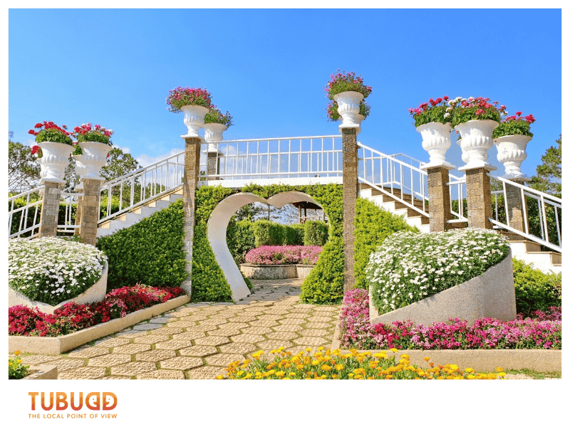 Tubudd’s Local Tours and Local Buddy service offers a personalized, insider-led experience. 