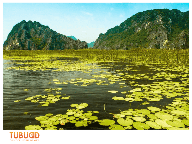 How to Get to Van Long Wetland Nature Reserve and Plan a Smooth Visit 