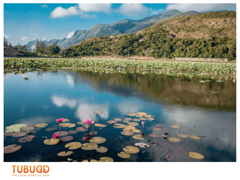 What Makes Van Long Wetland Nature Reserve Special 