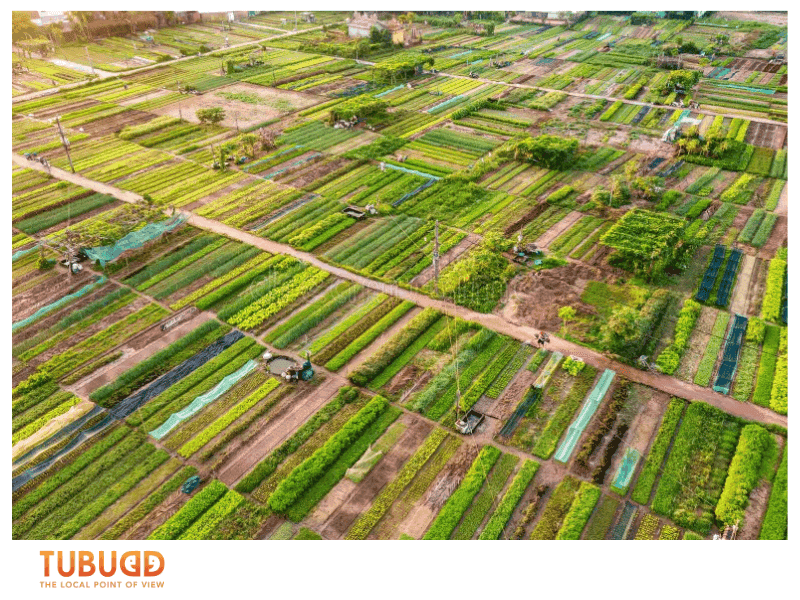 A Living Garden That Reflects Hoi An’s Farming Traditions