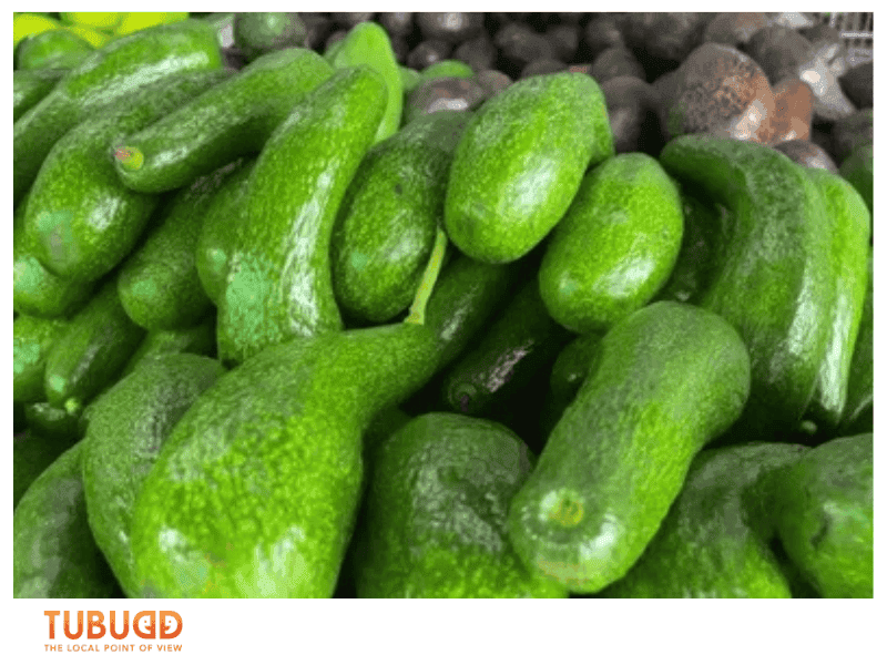 Why Vietnam Avocado Is So Special