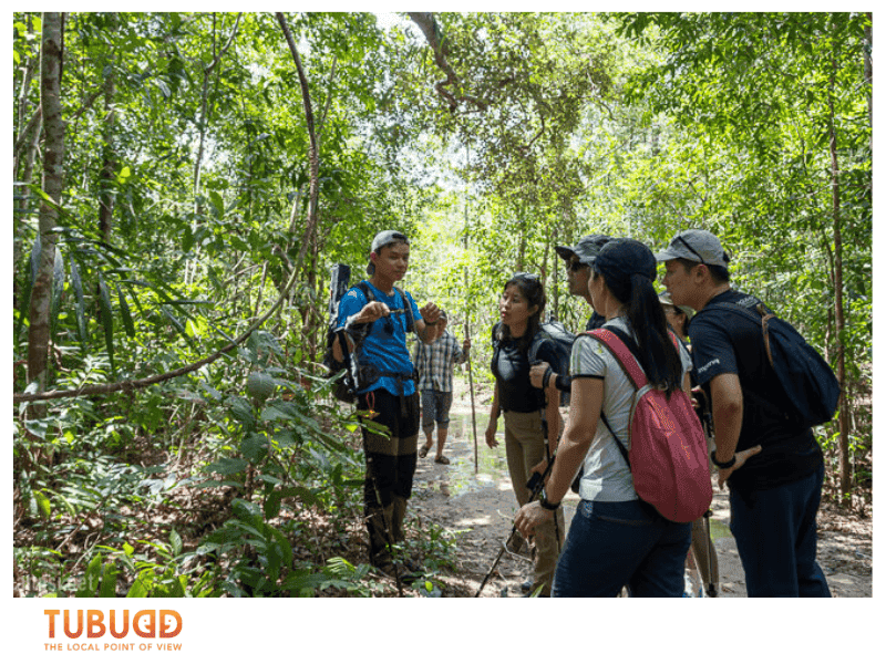 Why a Vietnam Jungle Trek Is Unlike Anywhere Else in Southeast Asia