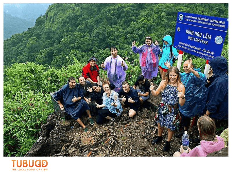 Best Regions for an Unforgettable Vietnam Jungle Trek