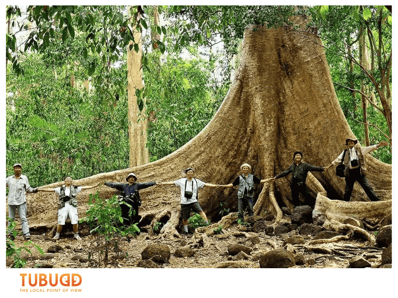 What to Know Before Planning a Vietnam Jungle Trek