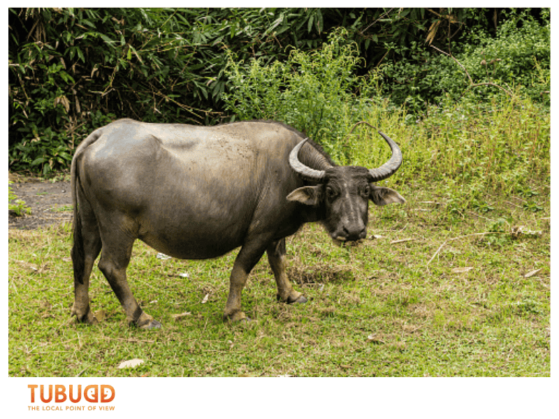 Symbolism and Modern-Day Relevance