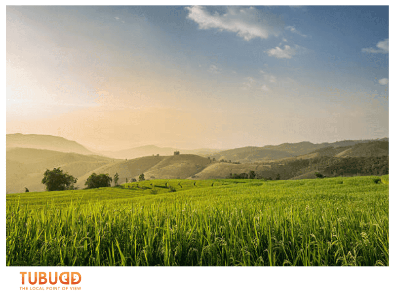 Best Time to Visit Northern Vietnam Rice Fields