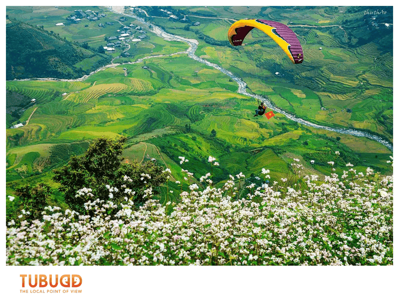Spring in Vietnam: Blossoms and Celebrations