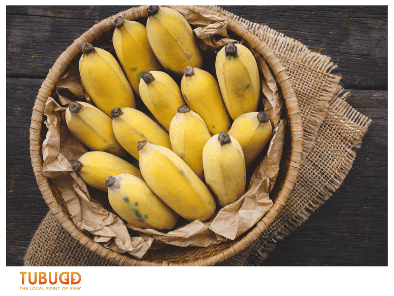 Top Vietnamese Banana Varieties You Should Know